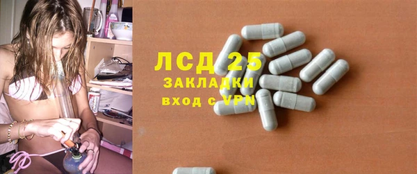дурь Богданович