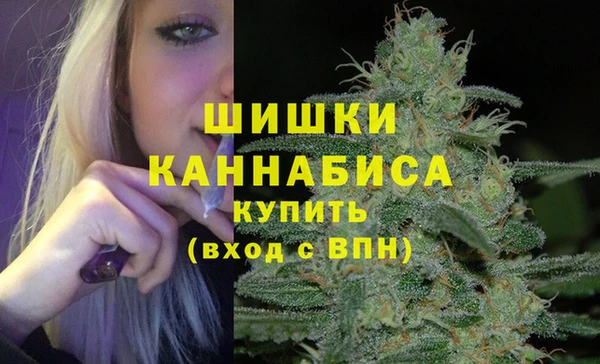mix Богородицк