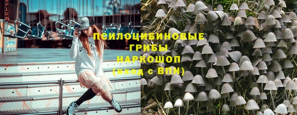 mix Богородицк