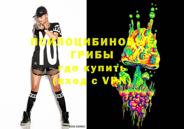 дурь Богданович